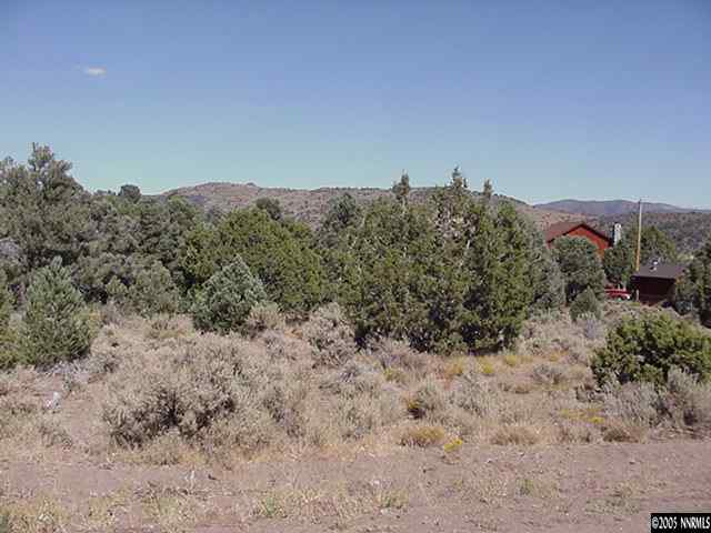 2588 Cartwright Road Reno, NV 89521 - Photo 3 of 4 a view of a dry yard with mountains in the background