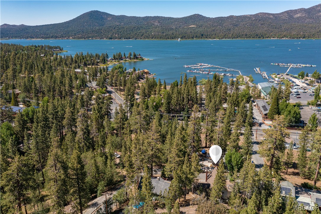 661 Modoc Drive Big Bear Lake, CA 92315 - Photo 7 of 41