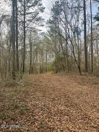 $389,900 | Beartown Road, Jayess, MS 39641