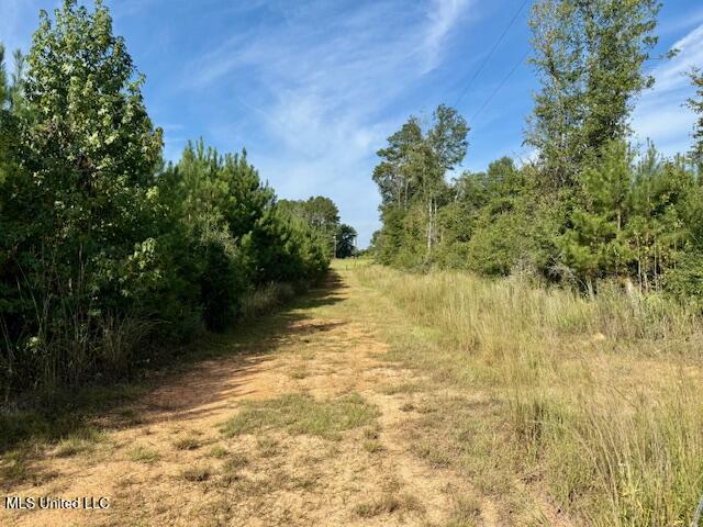 Beartown Road Jayess, MS 39641 - Photo 11 of 44 IMG_6432