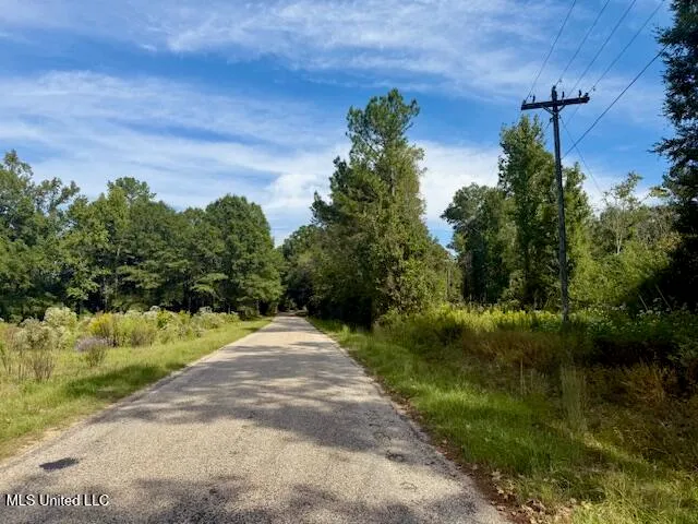 $389,900 | Beartown Road, Jayess, MS 39641