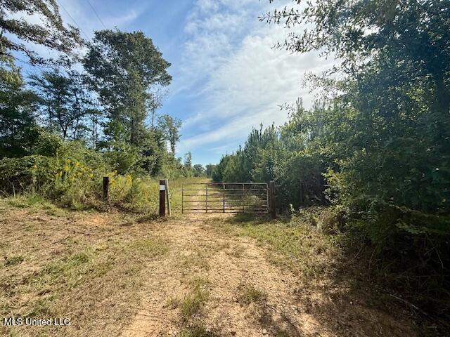 Beartown Road Jayess, MS 39641 - Photo 12 of 39 IMG_6466