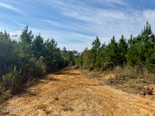Beartown Road Jayess, MS 39641 - Photo 14 of 44 IMG_6436