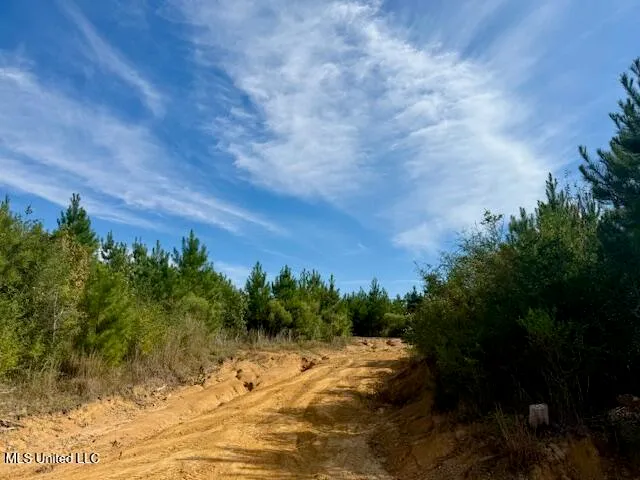 $455,000 | Beartown Road, Jayess, MS 39641