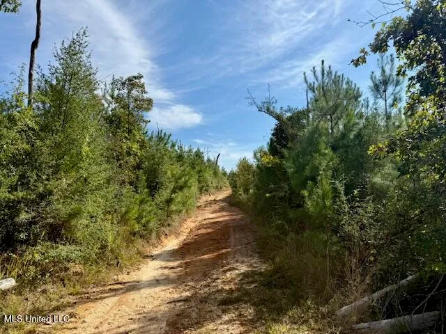 $389,900 | Beartown Road, Jayess, MS 39641