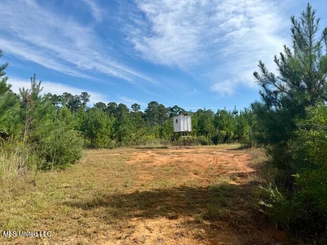 Beartown Road Jayess, MS 39641 - Photo 16 of 44 IMG_6438