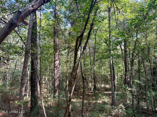 Beartown Road Jayess, MS 39641 - Photo 16 of 39 IMG_6454