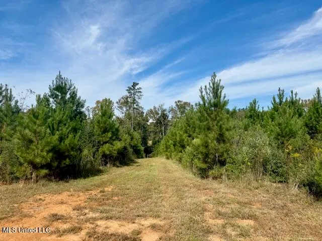 $455,000 | Beartown Road, Jayess, MS 39641