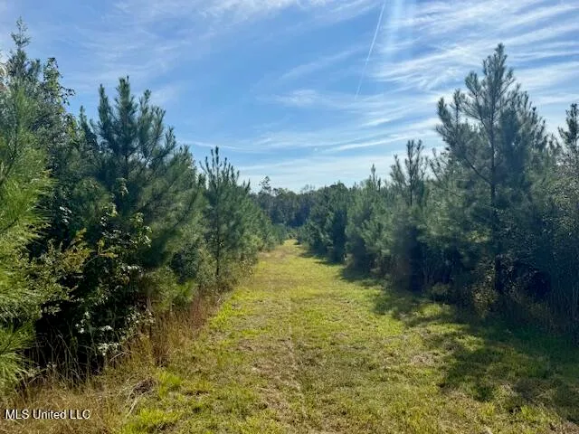 $455,000 | Beartown Road, Jayess, MS 39641