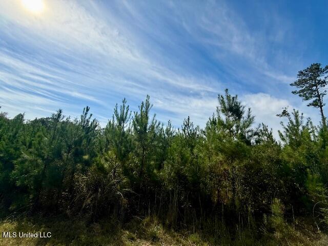 Beartown Road Jayess, MS 39641 - Photo 20 of 44 IMG_6442