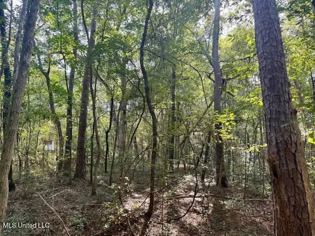 $455,000 | Beartown Road, Jayess, MS 39641