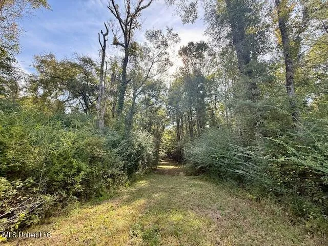 $455,000 | Beartown Road, Jayess, MS 39641