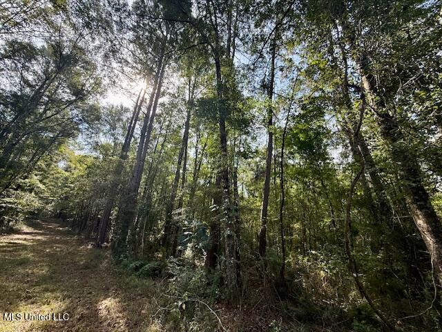 Beartown Road Jayess, MS 39641 - Photo 23 of 44 IMG_6445