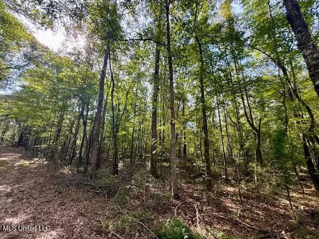 $455,000 | Beartown Road, Jayess, MS 39641