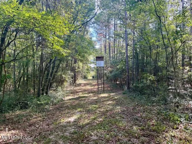 $455,000 | Beartown Road, Jayess, MS 39641