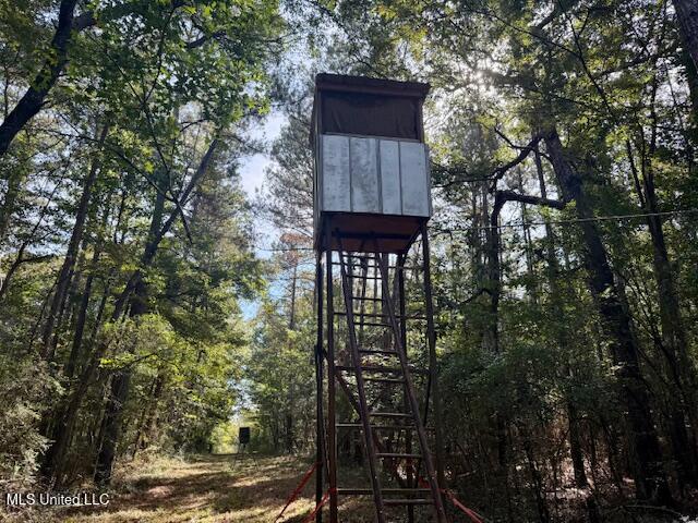 Beartown Road Jayess, MS 39641 - Photo 3 of 44 IMG_6455