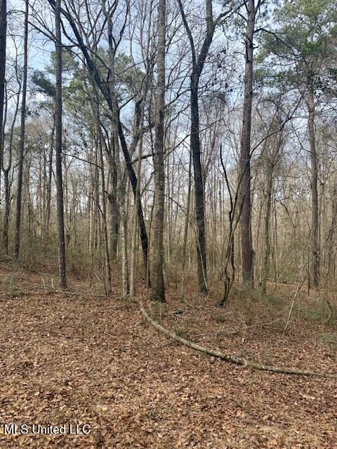 Beartown Road Jayess, MS 39641 - Photo 3 of 52 IMG_7844