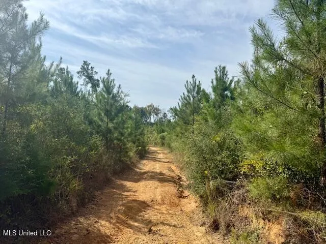 $389,900 | Beartown Road, Jayess, MS 39641