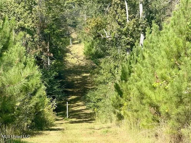 $455,000 | Beartown Road, Jayess, MS 39641