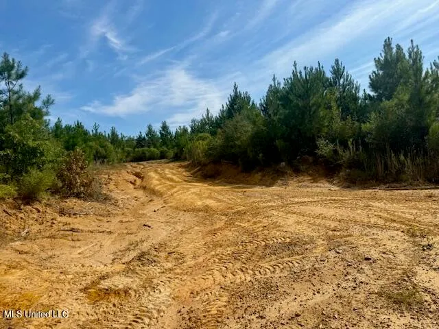 $389,900 | Beartown Road, Jayess, MS 39641