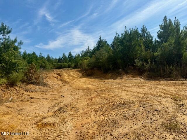 Beartown Road Jayess, MS 39641 - Photo 33 of 39 IMG_6463