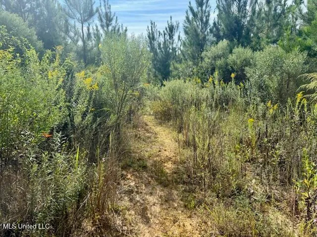 $455,000 | Beartown Road, Jayess, MS 39641