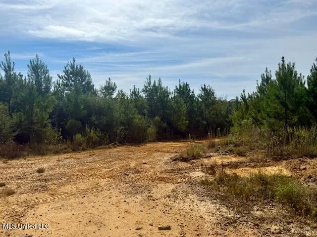 $455,000 | Beartown Road, Jayess, MS 39641