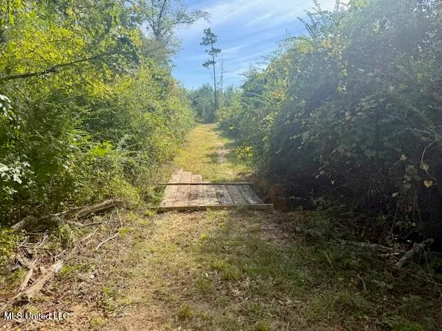 $455,000 | Beartown Road, Jayess, MS 39641