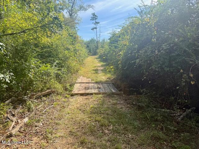 Beartown Road Jayess, MS 39641 - Photo 37 of 44 IMG_6465