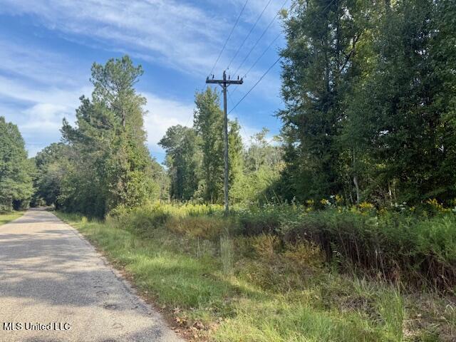 Beartown Road Jayess, MS 39641 - Photo 39 of 44 IMG_6467