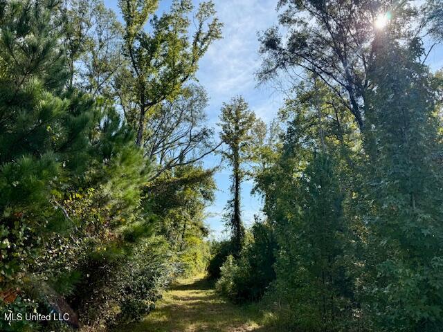 Beartown Road Jayess, MS 39641 - Photo 4 of 39 IMG_6433