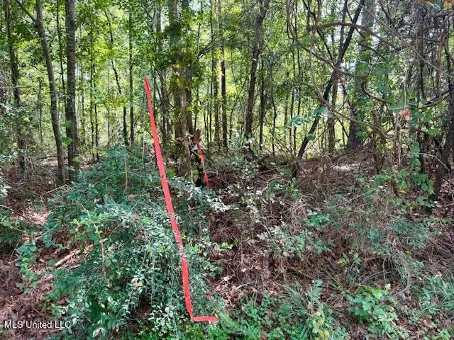 $455,000 | Beartown Road, Jayess, MS 39641