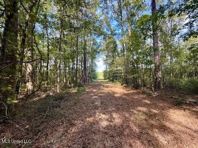 $455,000 | Beartown Road, Jayess, MS 39641