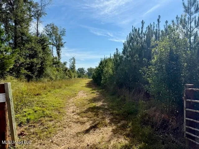 $455,000 | Beartown Road, Jayess, MS 39641
