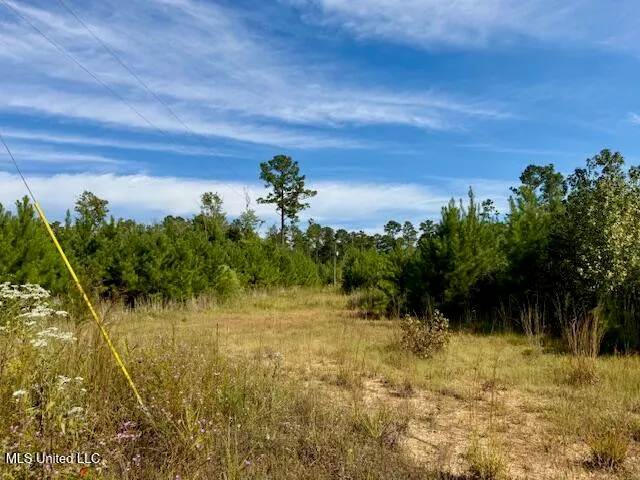 $455,000 | Beartown Road, Jayess, MS 39641