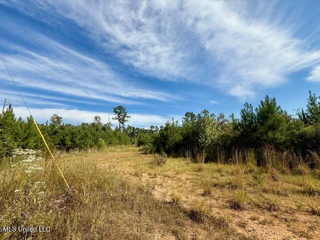 Beartown Road Jayess, MS 39641 - Photo 9 of 44 IMG_6430