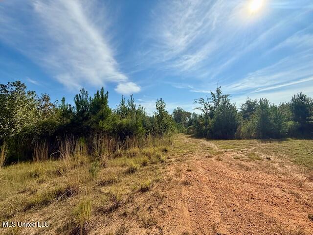 Beartown Road Jayess, MS 39641 - Photo 10 of 44 IMG_6431