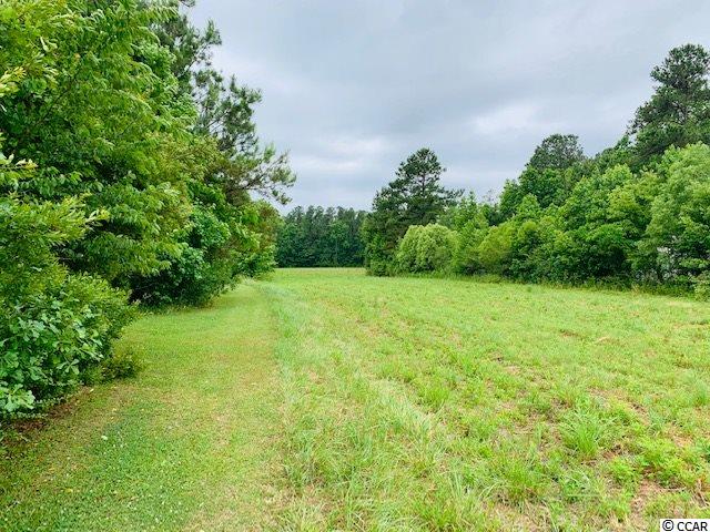 2 Red Bluff Road Loris, SC 29569 - Photo 1 of 5 Gallery Image 1