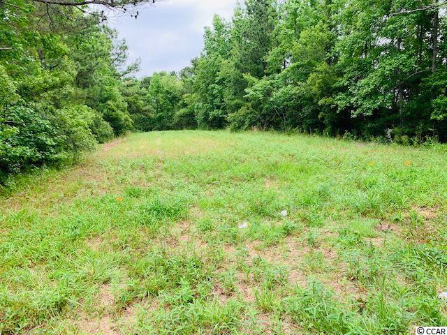2 Red Bluff Road Loris, SC 29569 - Photo 2 of 5 Gallery Image 2
