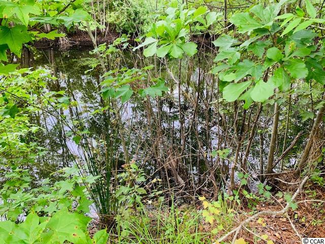 2 Red Bluff Road Loris, SC 29569 - Photo 3 of 5 Gallery Image 3