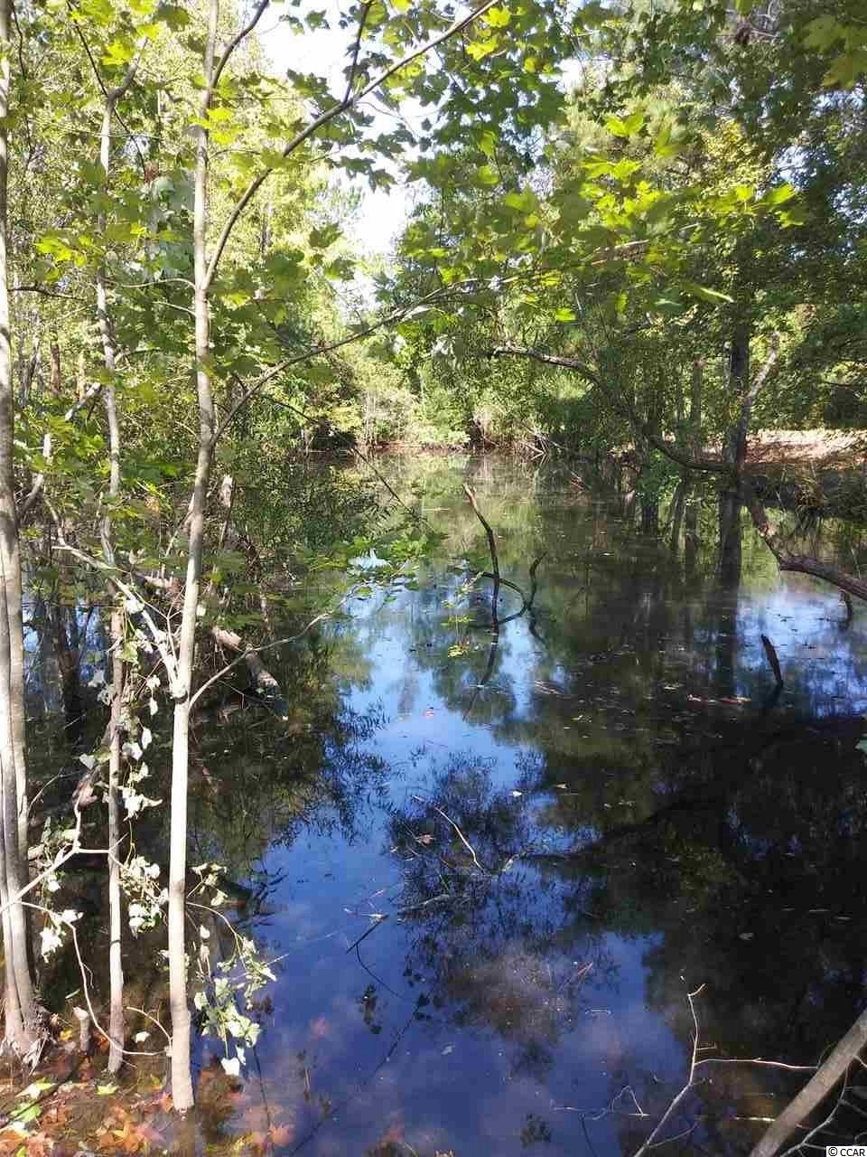 2 Red Bluff Road Loris, SC 29569 - Photo 4 of 5 Gallery Image 4
