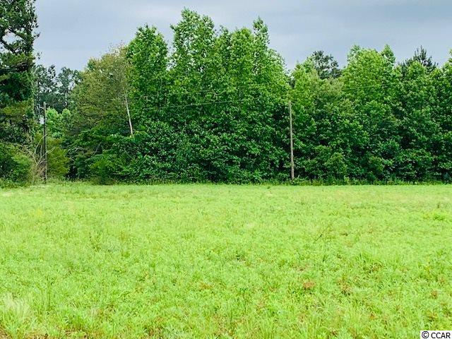 2 Red Bluff Road Loris, SC 29569 - Photo 5 of 5 Gallery Image 5