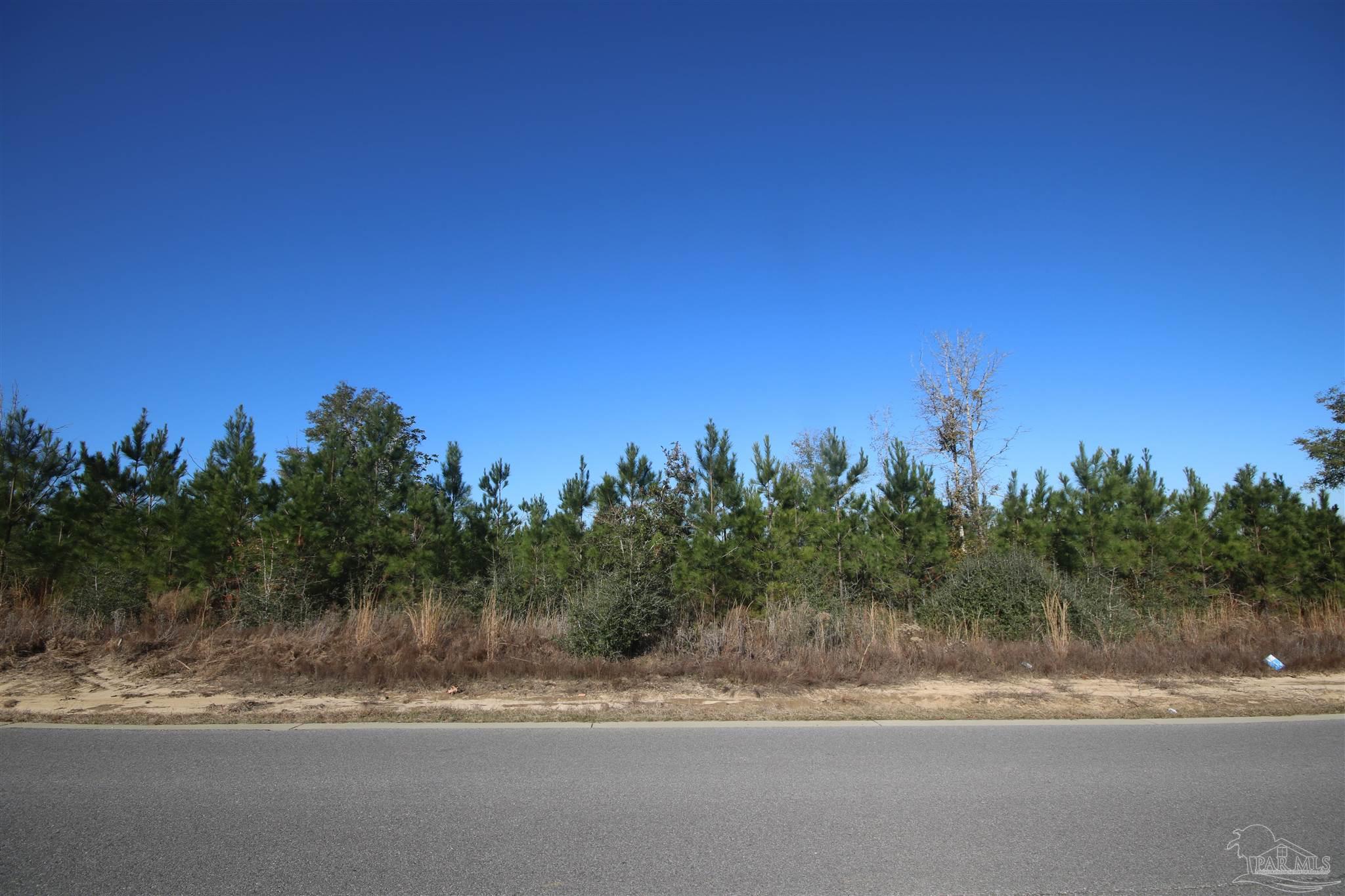 Lot 23 Buffalo Ridge Road Milton, FL 32571 - Photo 1 of 6 Gallery Image 1