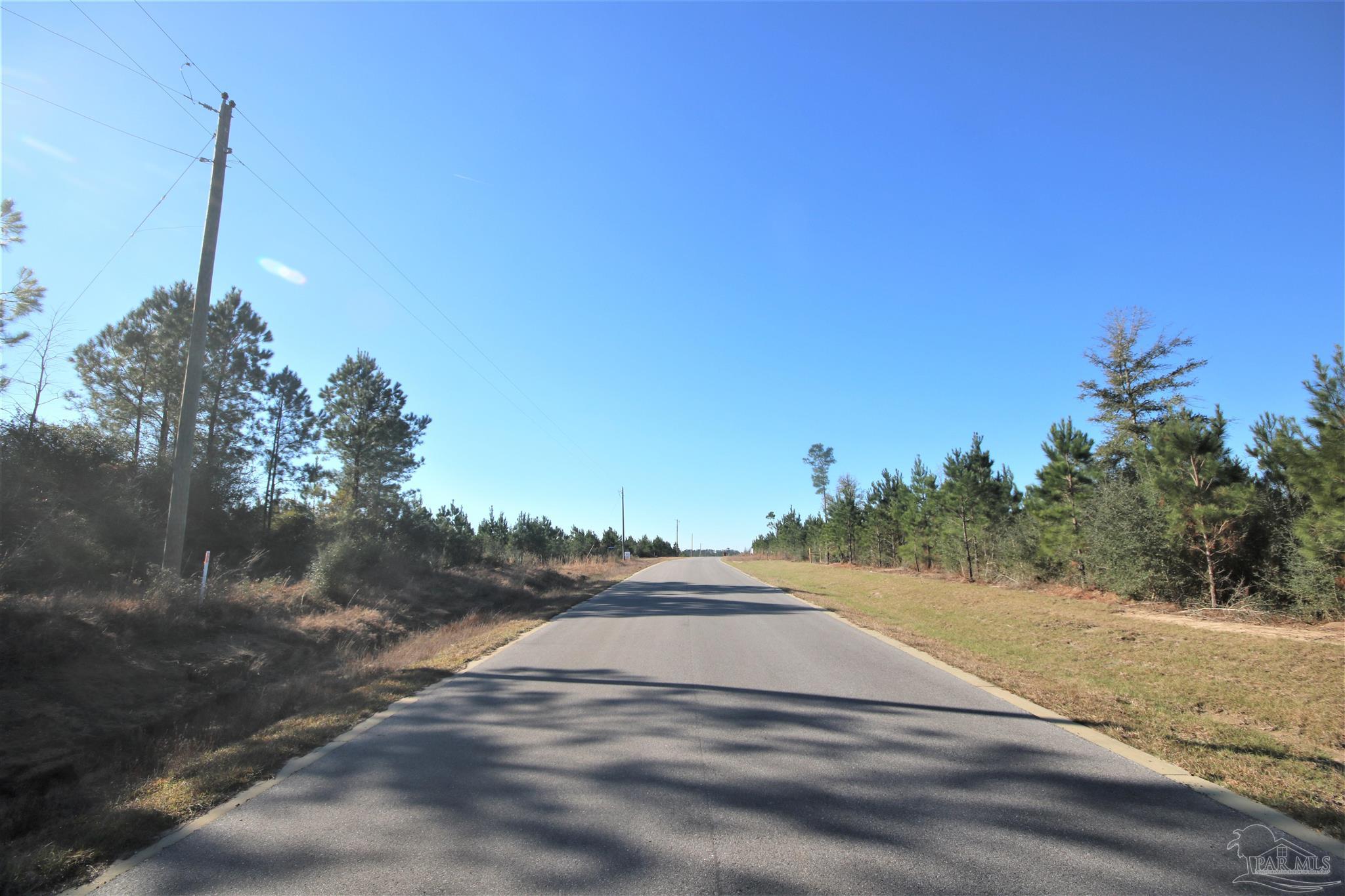 Lot 23 Buffalo Ridge Road Milton, FL 32571 - Photo 4 of 6 front of the property.