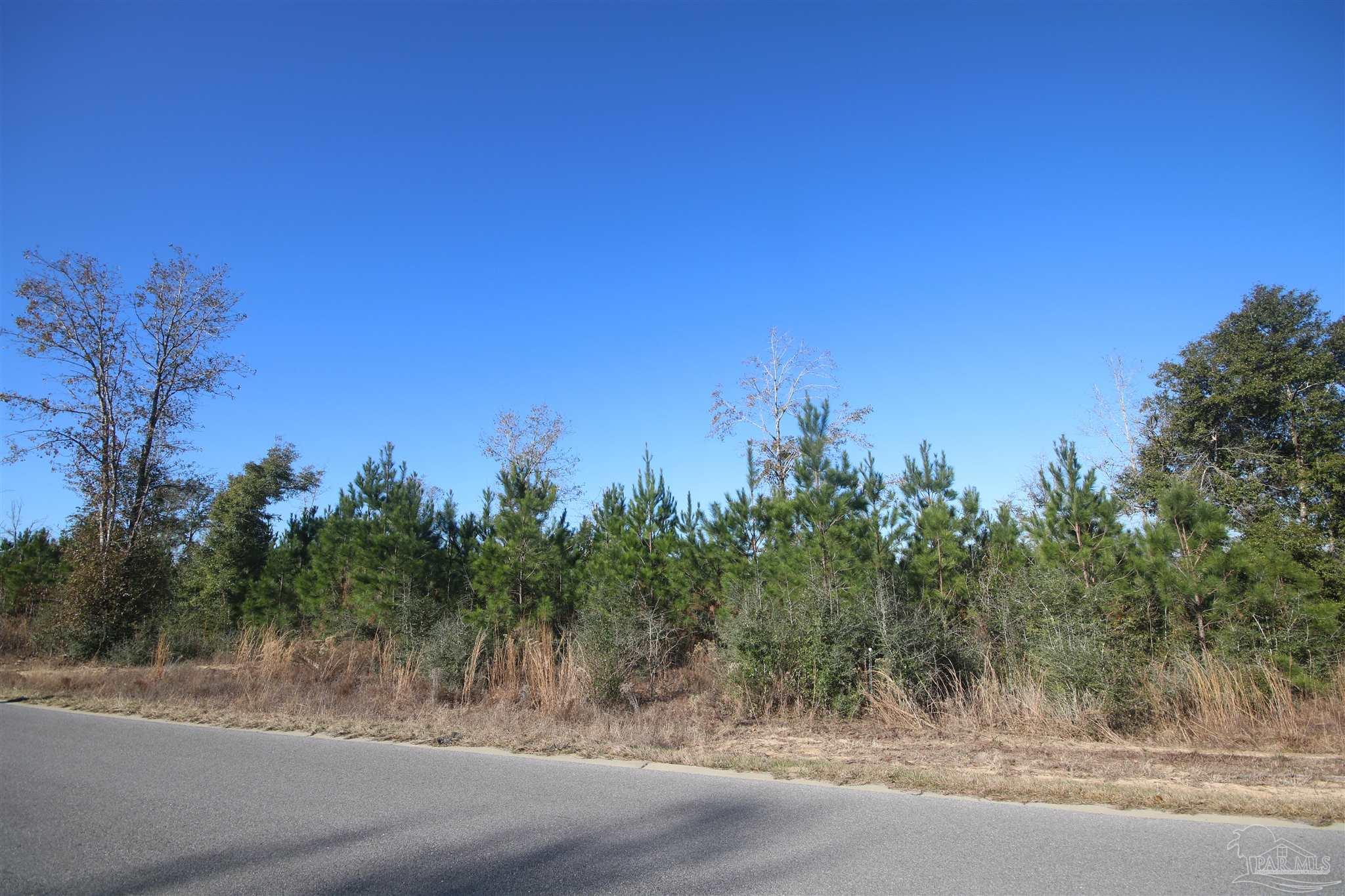 Lot 23 Buffalo Ridge Road Milton, FL 32571 - Photo 5 of 6 Gallery Image 5