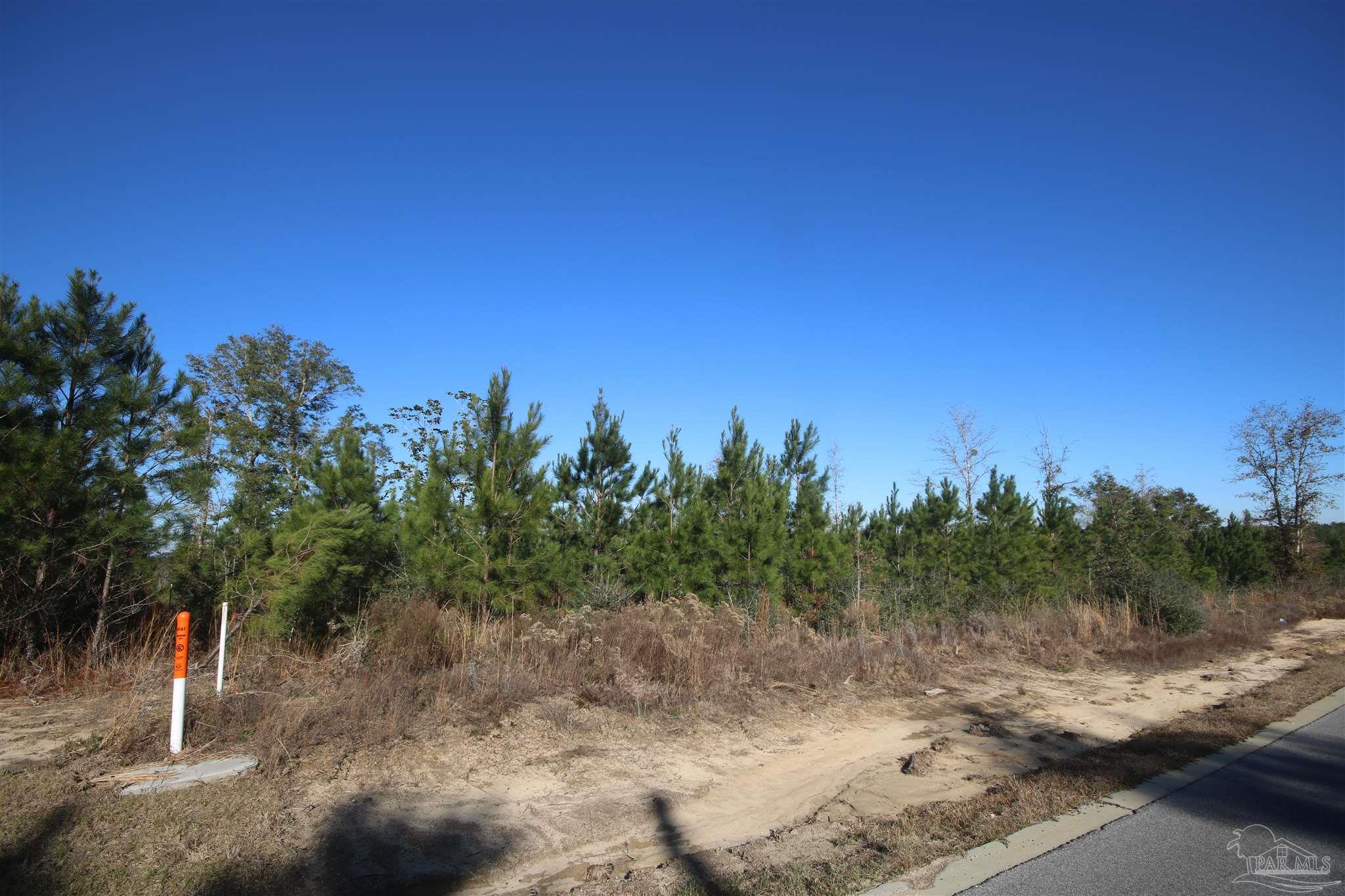 Lot 23 Buffalo Ridge Road Milton, FL 32571 - Photo 6 of 6 street.
