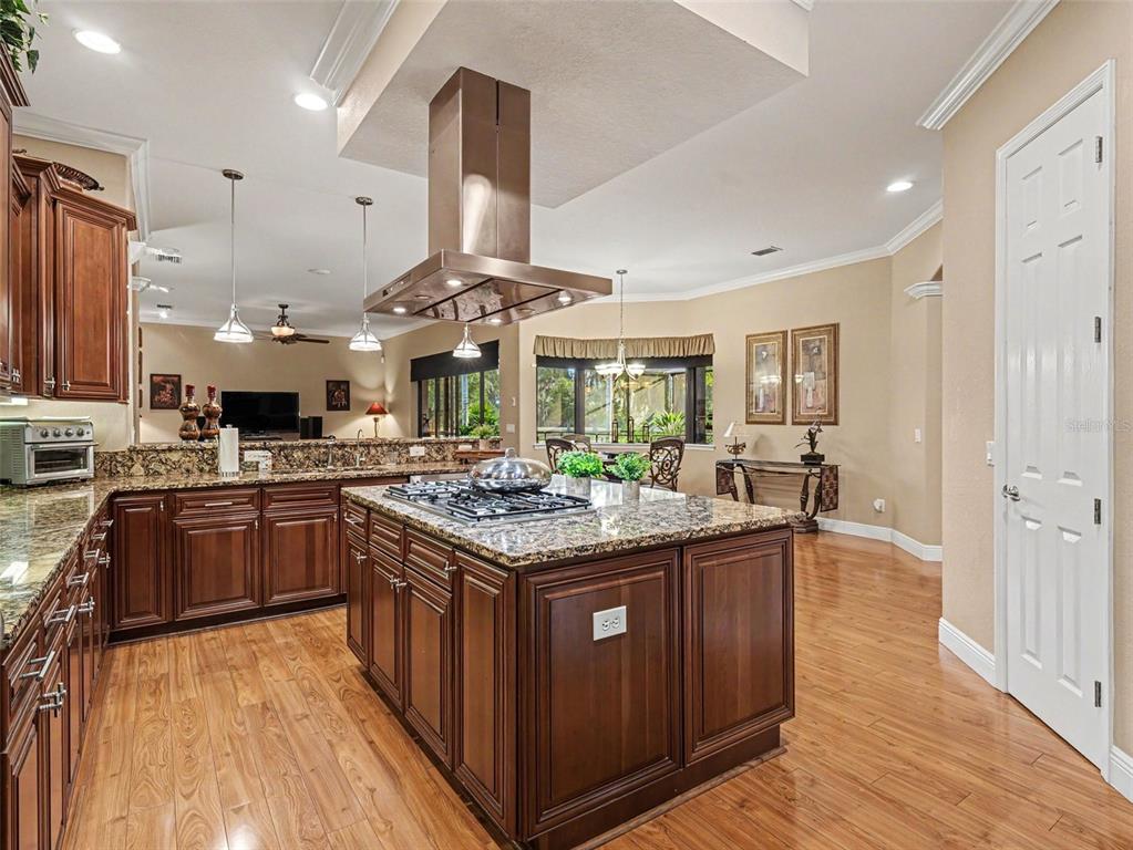 339 Corbett Road Lithia, FL 33547 - Photo 12 of 38 a kitchen with stainless steel appliances granite countertop wooden cabinets and a stove