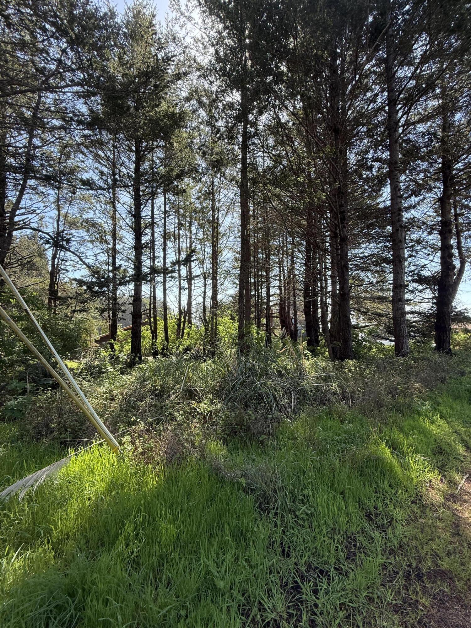 112 Seafoam Road Whitethorn, CA 95589 - Photo 4 of 6 IMG_2779
