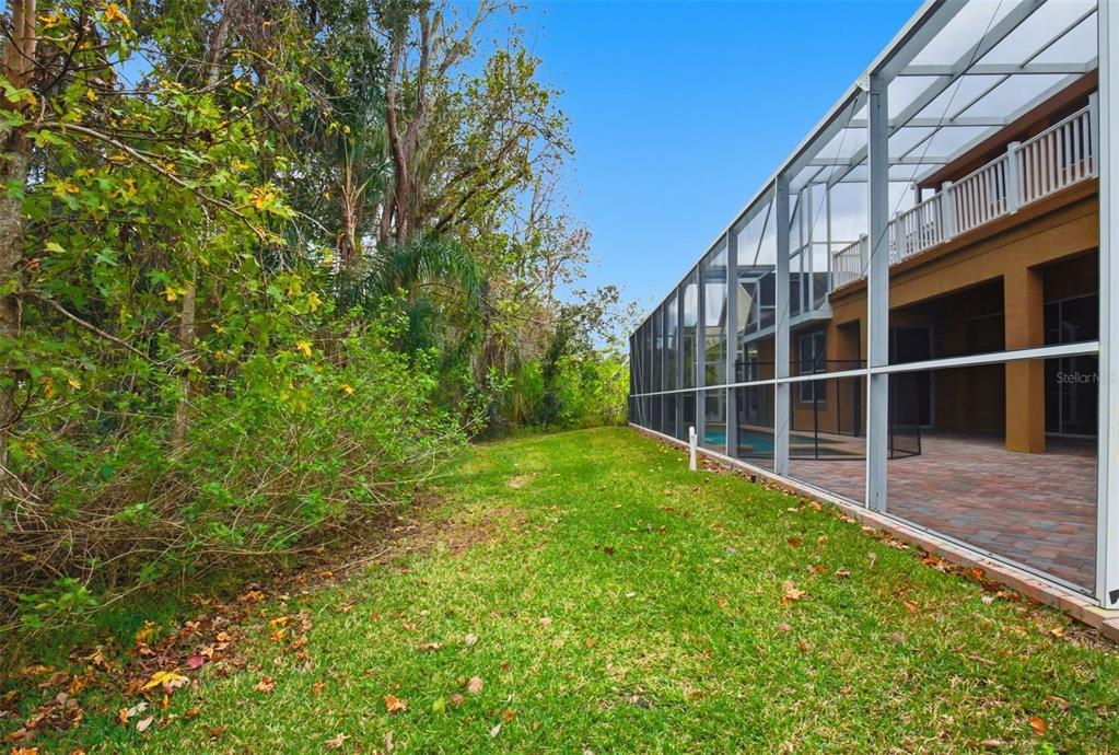 3454 Loggerhead Way Wesley Chapel, FL 33544 - Photo 58 of 58