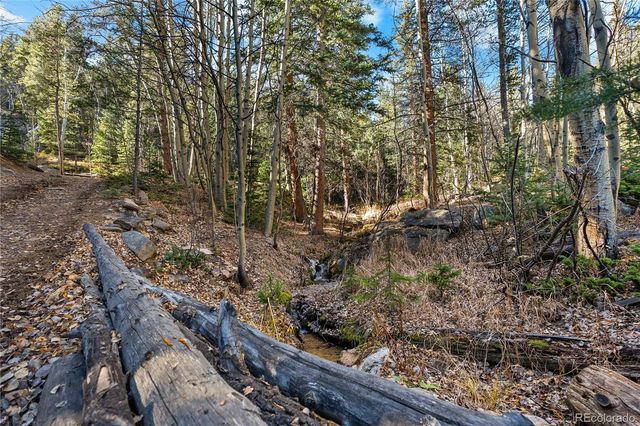 a flag is sitting in the middle of a yard
